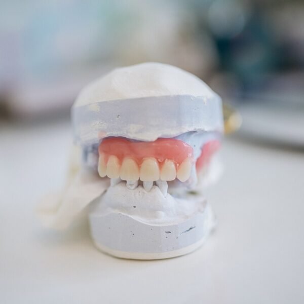 Dental Models